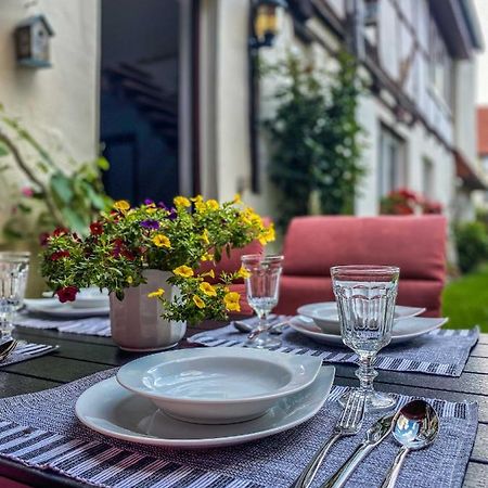 Am Mathildenbrunnen Gross Leilighet Quedlinburg Eksteriør bilde