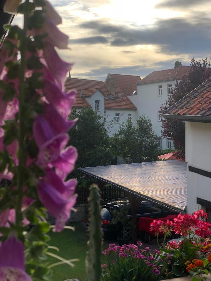 Am Mathildenbrunnen Gross Leilighet Quedlinburg Eksteriør bilde