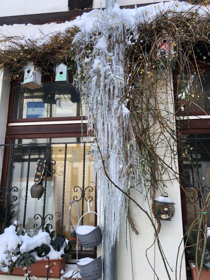 Am Mathildenbrunnen Gross Leilighet Quedlinburg Eksteriør bilde